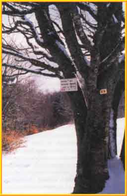 Le sentier des passeurs